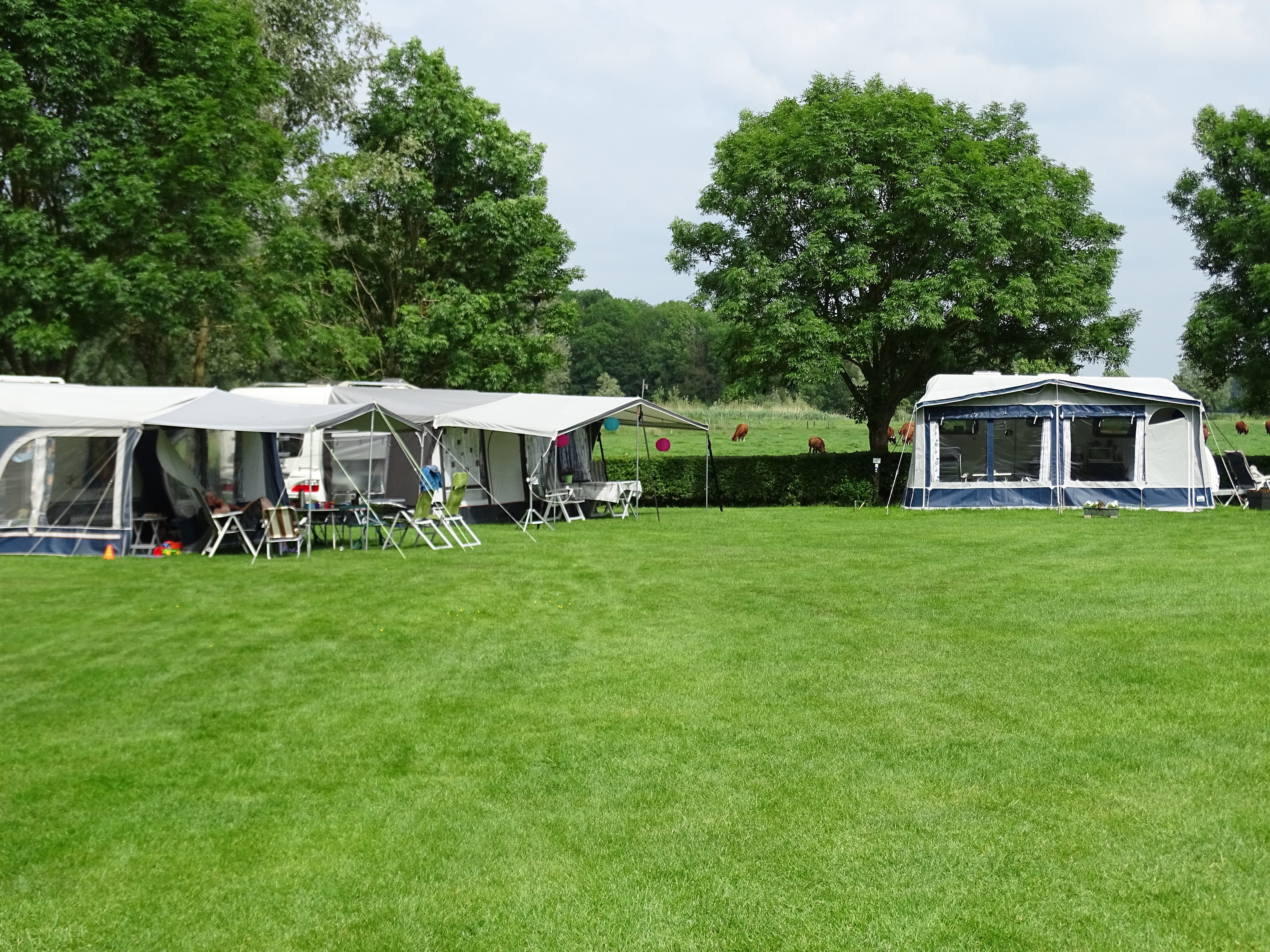 Arrangementen kamperen Camping de Adelaar